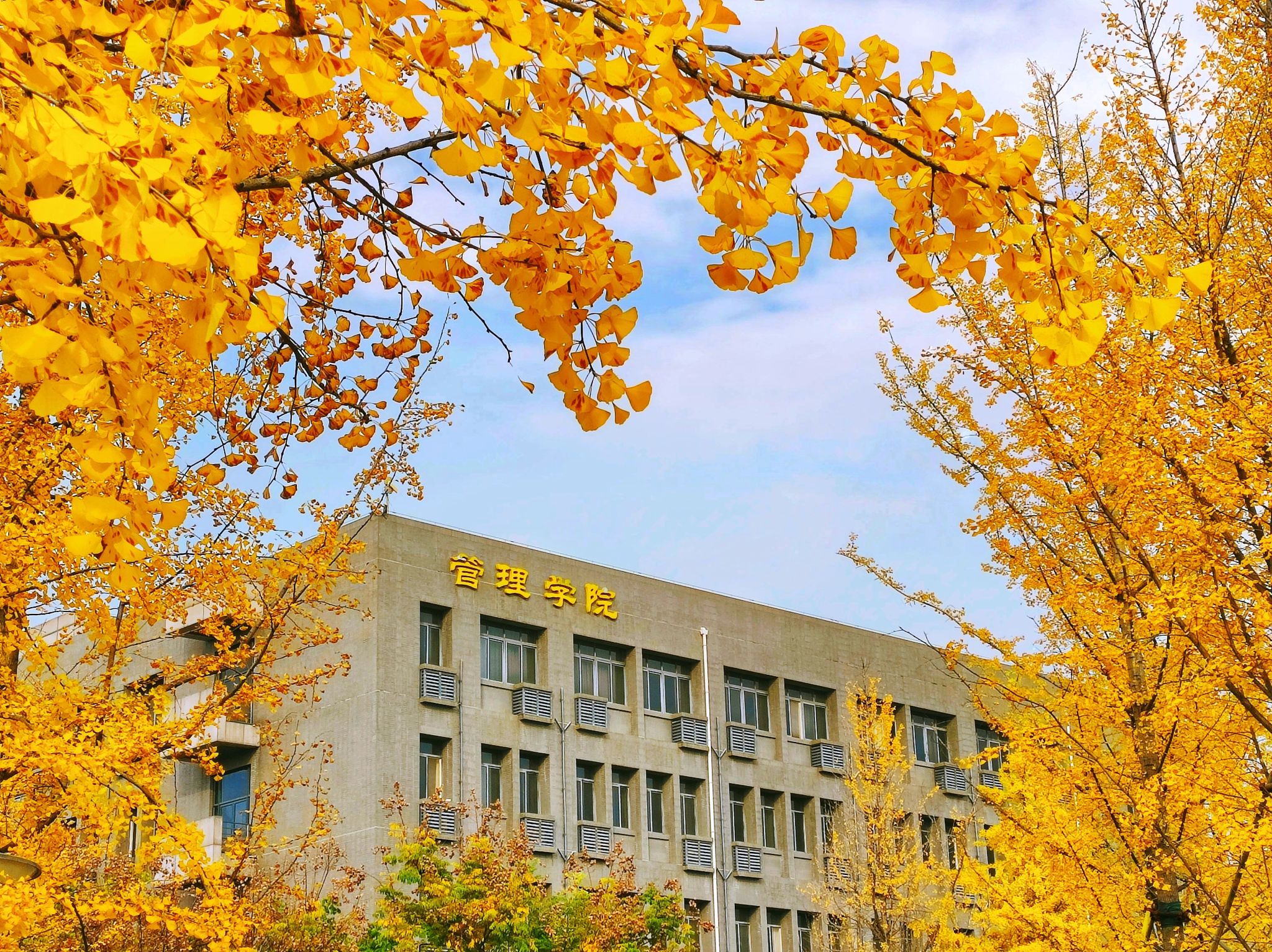 澳门金沙娱乐城