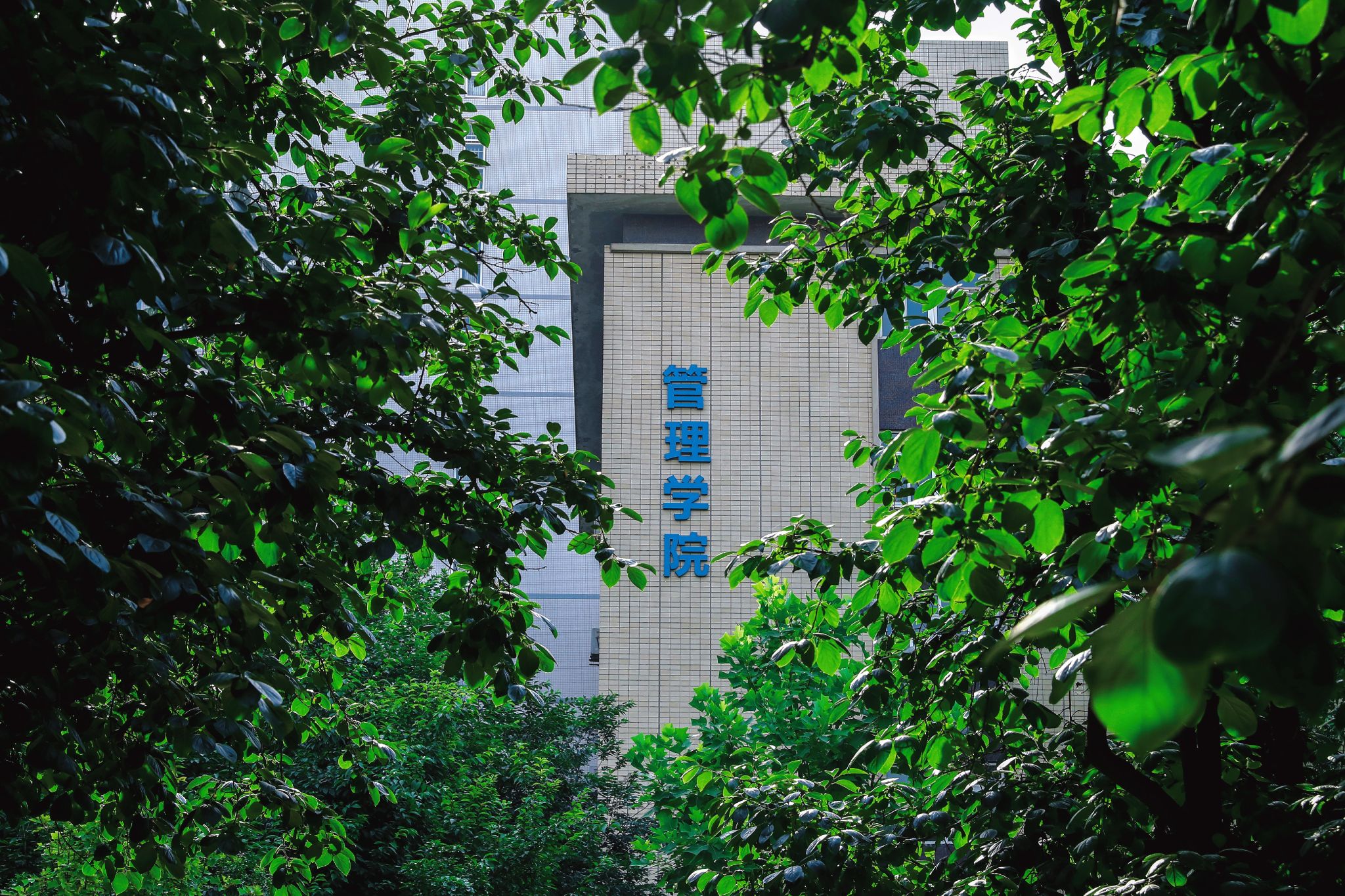 澳门金沙娱乐城